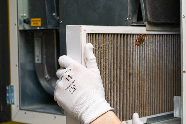 Best Affordable Air Duct Cleaning  in East Lexington, VA